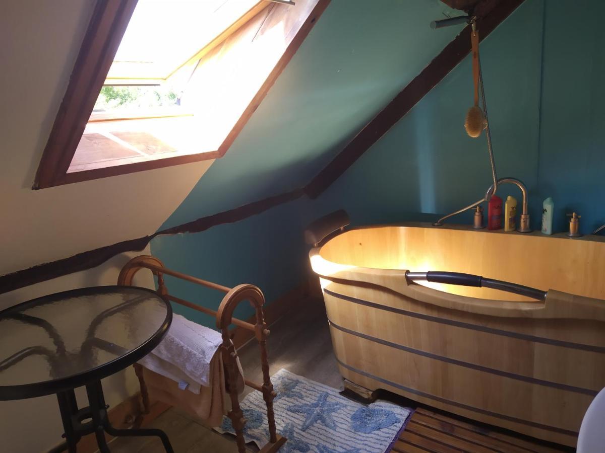 Maison En Granit Bleue Lanhelin Buitenkant foto